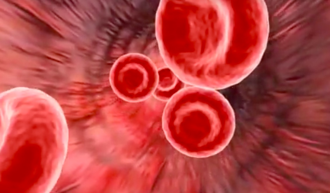 医学动画血红细胞
